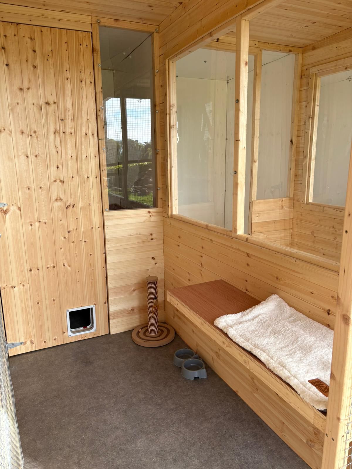 Front view of a cat suite showing bedding and scratch post
